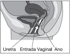 Diagrama

Descripción generada automáticamente
