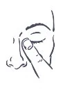 Dibujo en blanco y negro
Descripción generada automáticamente con confianza media