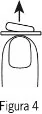 Icono
Descripción generada automáticamente