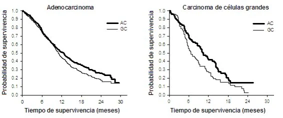 A graph of a number of patients
Description automatically generated with medium confidence