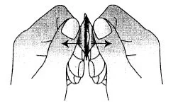 http://infproducto.agemed.es/uploads/2008003351/Ondan%20fig2.jpg