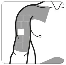 Imagen que contiene Icono

Descripción generada automáticamente