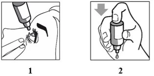 Dibujo en blanco y negro
Descripción generada automáticamente con confianza media